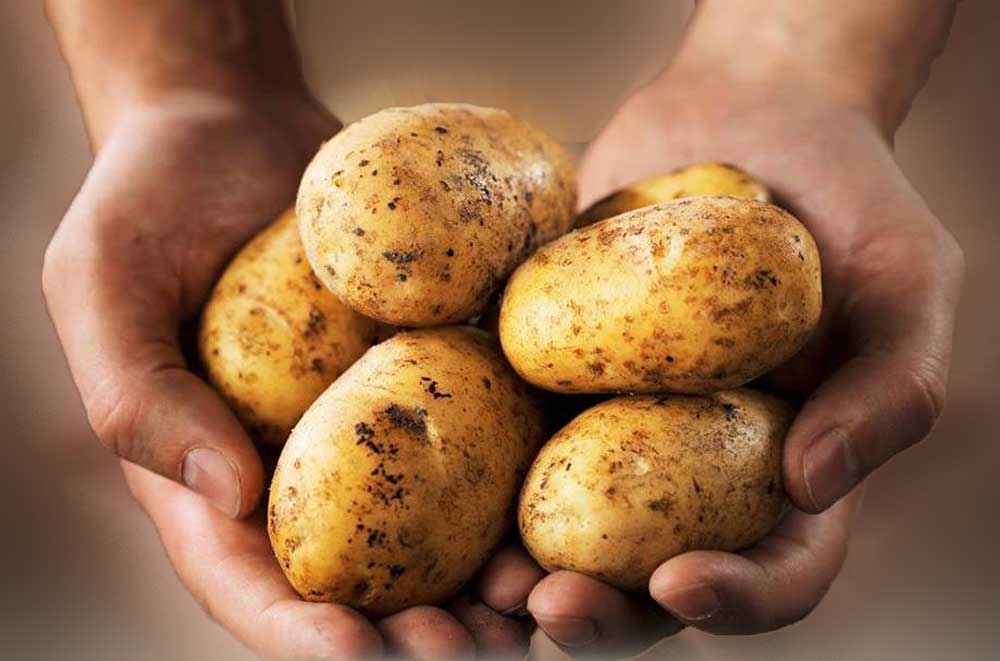 papas
