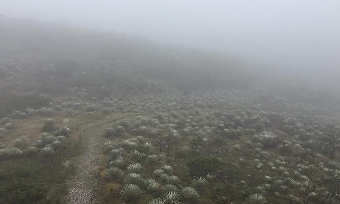 reserva vista hermosajpg