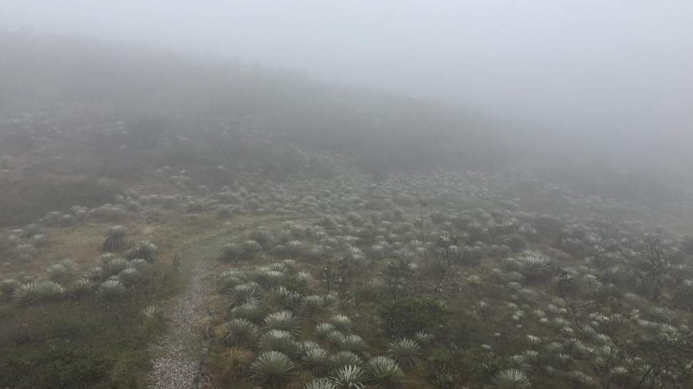 reserva vista hermosajpg