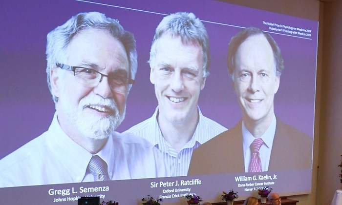 nobel-medicina.jpg