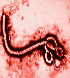 ebola.jpg