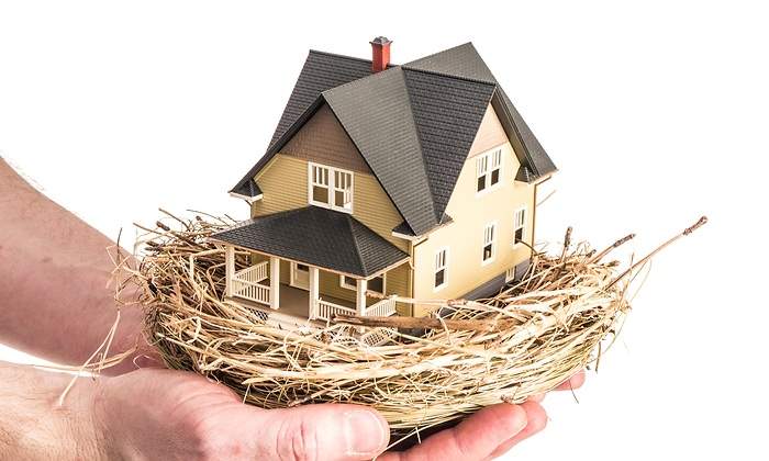vivienda-nido.jpg