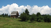 campo.jpg