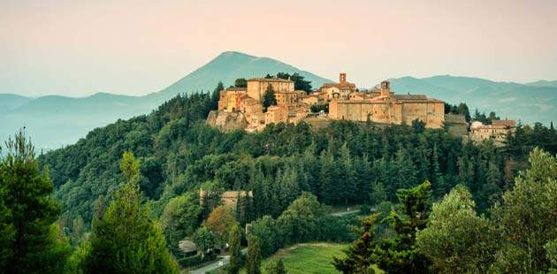 Fortebraccio