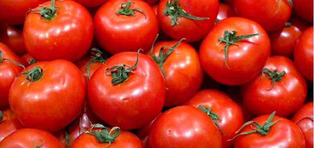 tomate_635.jpg