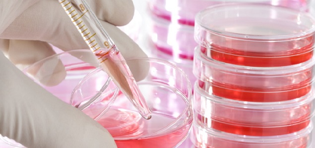 635x300biotecnologia1.jpg