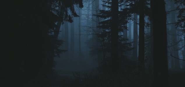 bosque-noche-getty-635x300.jpg