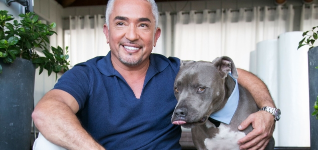 Cesar-Millan-Perro-Getty-635.jpg