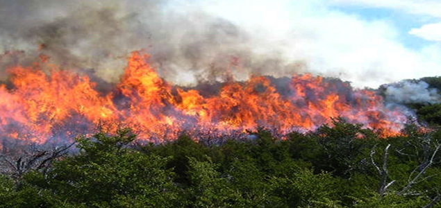 incendios