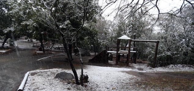 monterrey-nieve.jpg