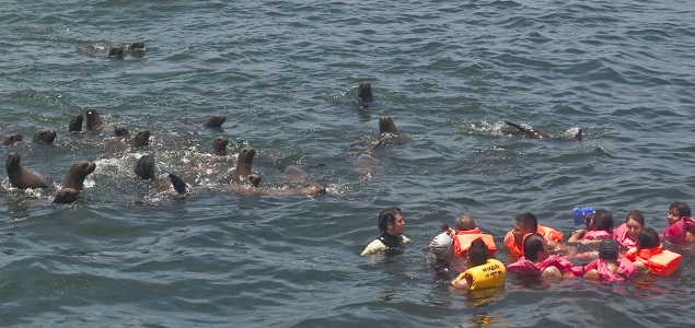 islapalomino635.jpg