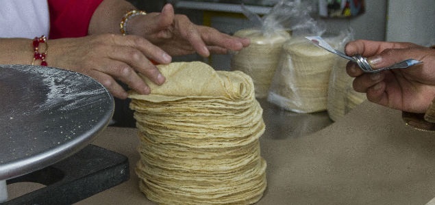 tortillas-maiz.jpg