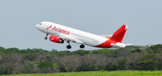 aviancainterior.jpg