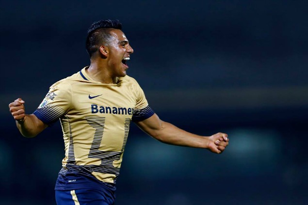 CORTES_PUMAS.jpg