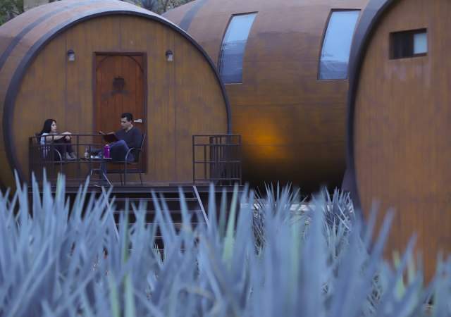 hotel-tequila-efe-1.jpg