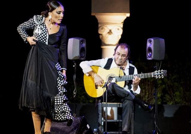 flamenco-bueno.jpg