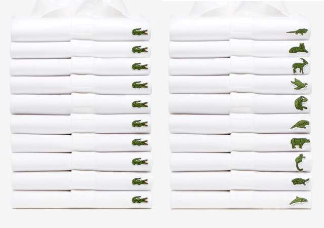 polos-lacoste-nuevo-logotipo.jpg