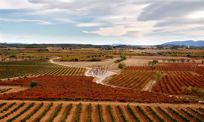 enatebodegas