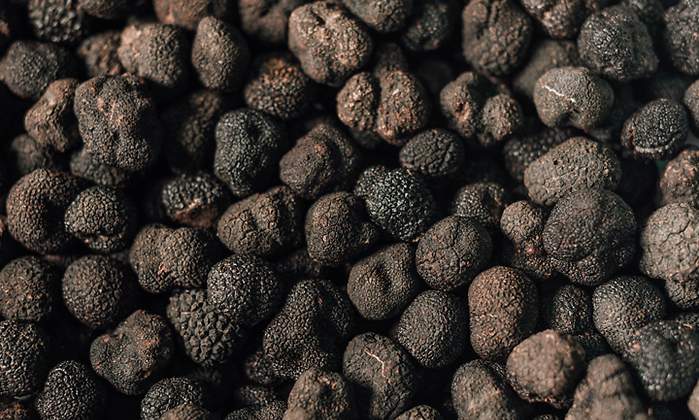 trufas