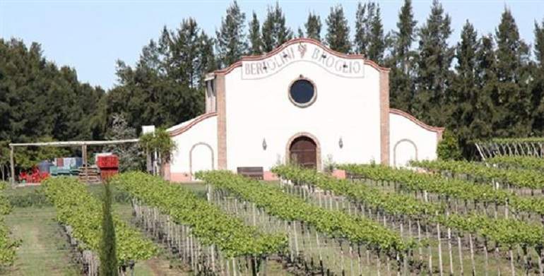 vino-uruguay.jpg