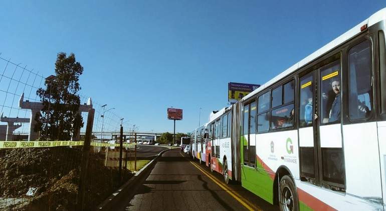 transmasivo-mexibus-770-420.jpg