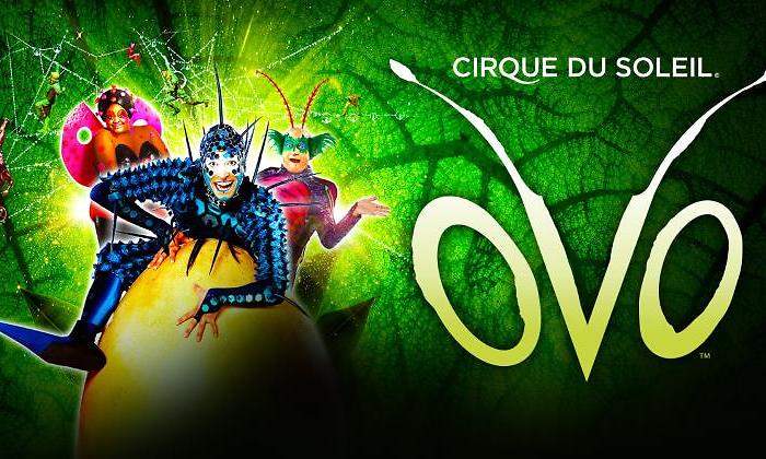 circo-sol-ovo-770.jpg