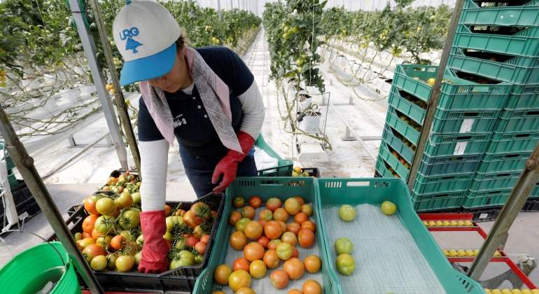 Tomates-Reuters.jpg