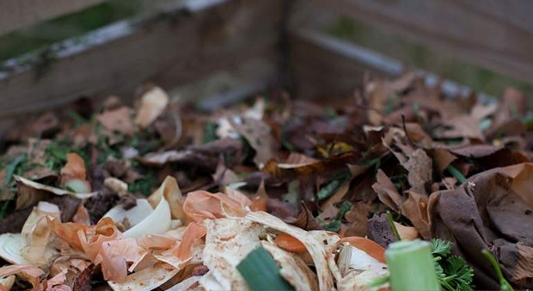 Basura-alimentos-770.jpg