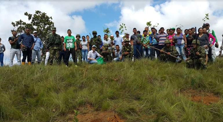 reforestacion-poli