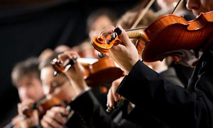 violinista111111111111.jpg
