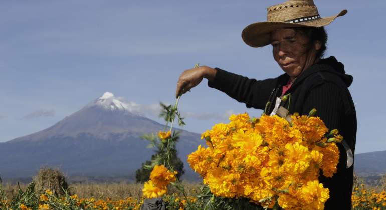 Productora-agropecuaria-Reuters.jpg