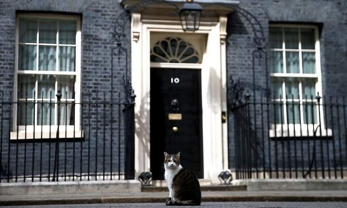 larry-downing-street-gato-reino-unido-reuters-770x420.jpg