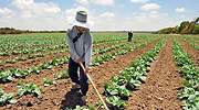 agri