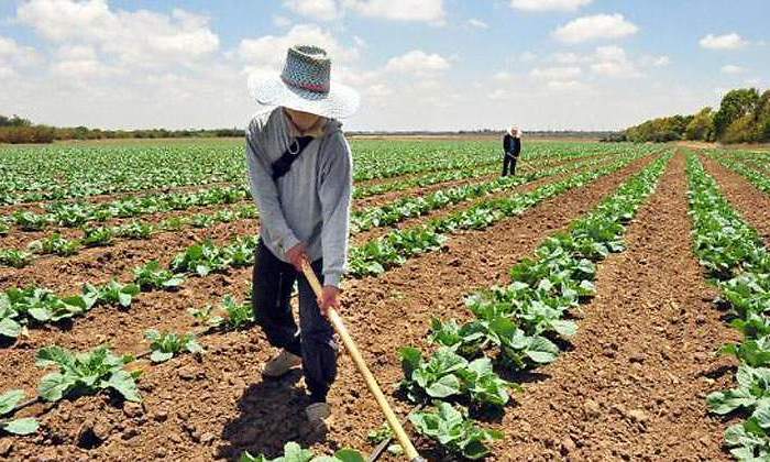 agricultores