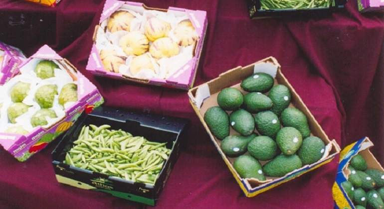 agro770x420.jpg