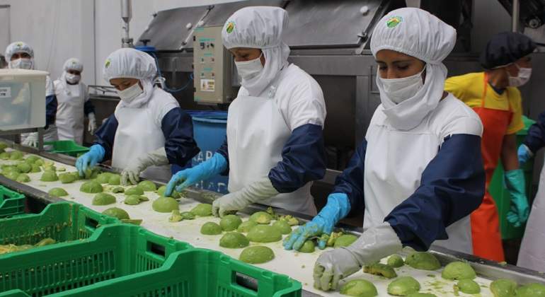 agroexpor770x420.jpg