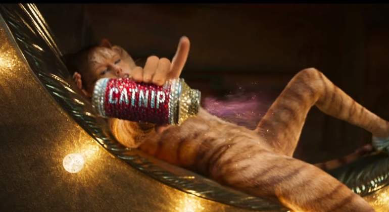 catnip-taylor-swift-universal-pictures-770.jpg