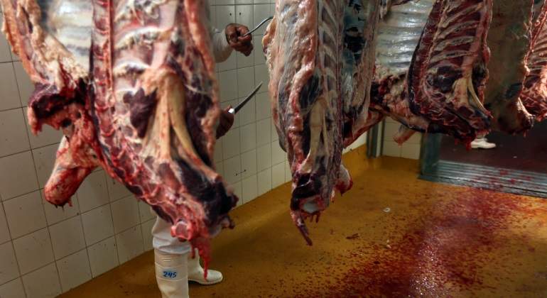 carne-de-res-reuters-770.jpg