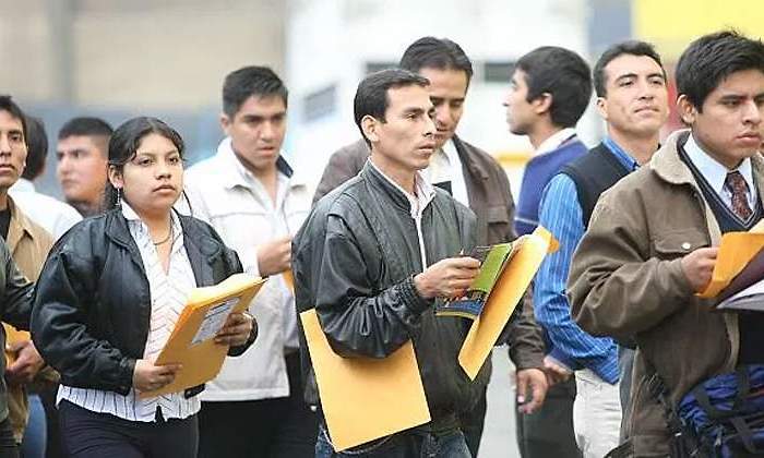 empleo-ntx-770.jpg