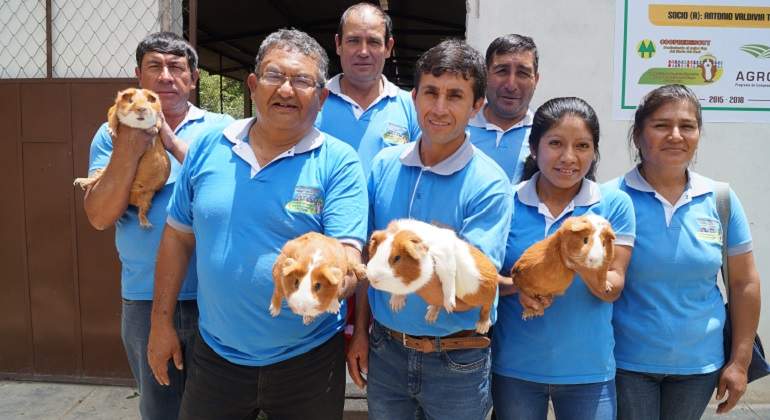 CUYES-AGROIDEAS-6.jpg