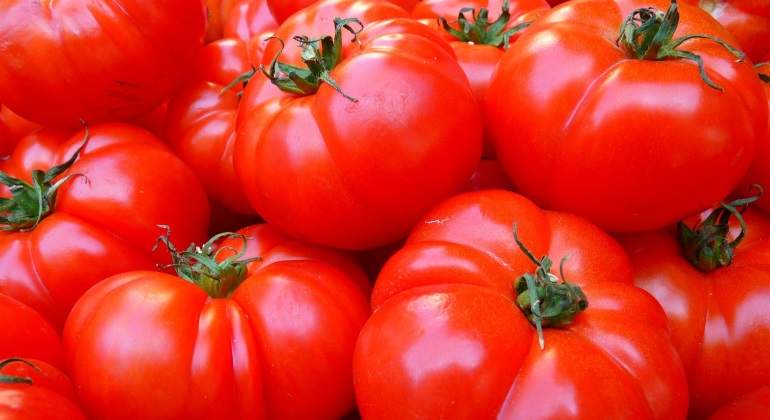 Si riegas menos los tomates, sabrán mejor