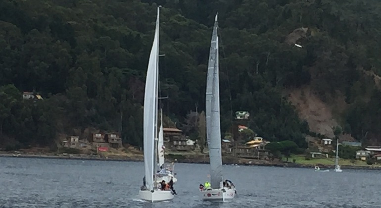 regata-higuerillas-juan-fernandez.foto-patricio-lara.png