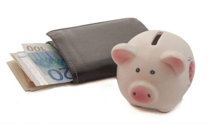 cartera-euros-cerdito.jpg