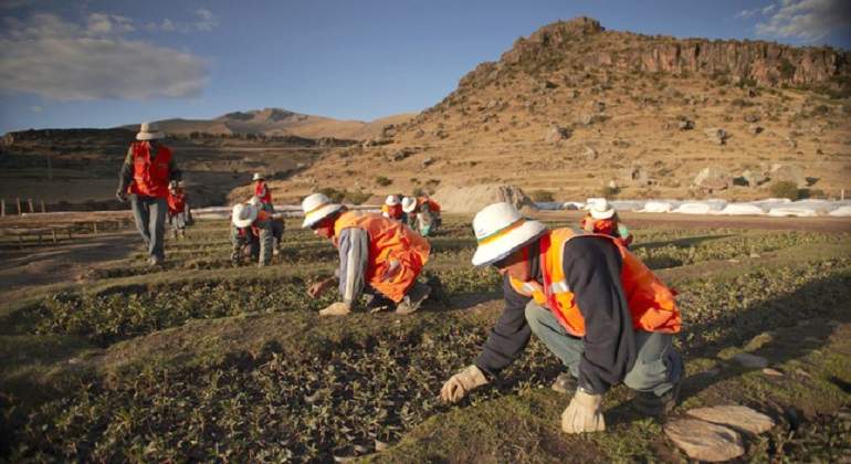agricultura770.jpg