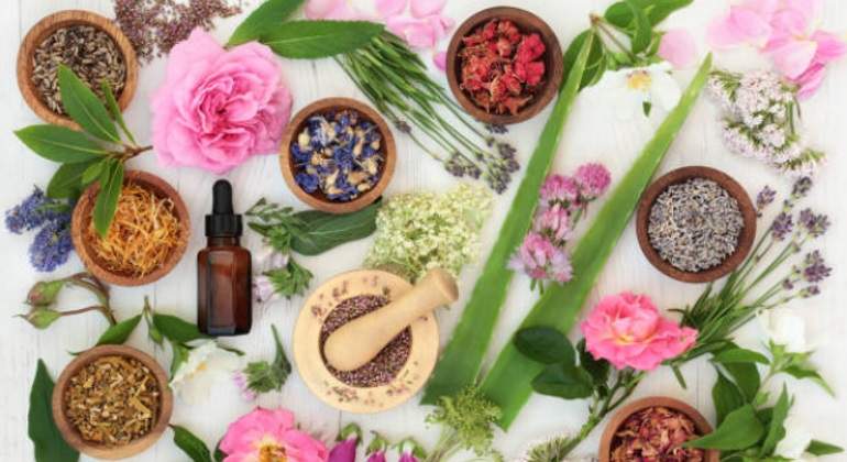 Medicina-tradicional-istock-770.jpg