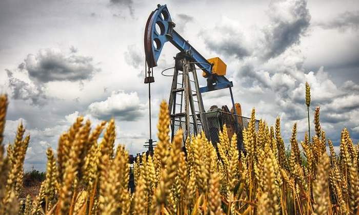 La estrategia del shock y el pavor implementada por la OPEP da alas al petróleo