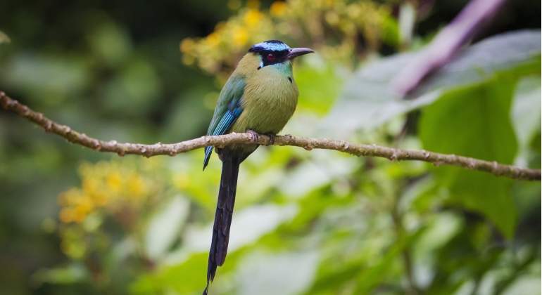 Biodiversidad-770-420-Reuters.jpg