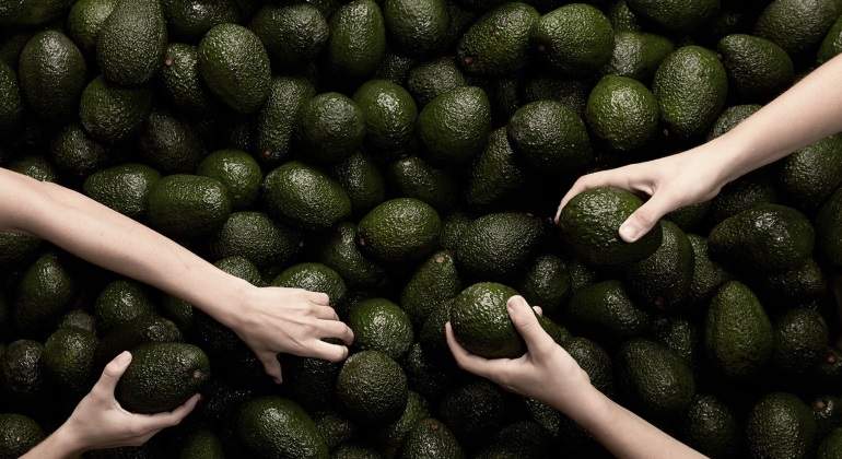Aguacate-770.jpg