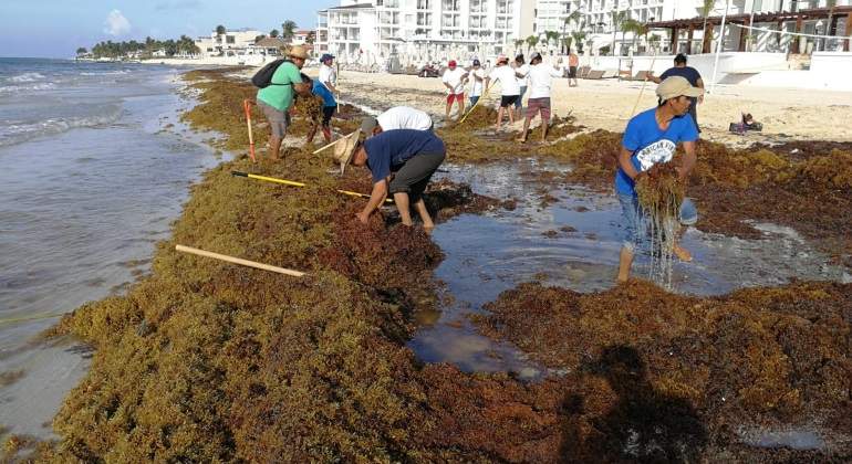 Sargazo-pone-en-peligro-ecologico-playas-mexianas-Notimex.jpg