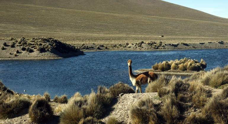 andes.jpg